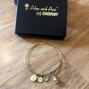 Alex and Ani Owl Charm Bracelet